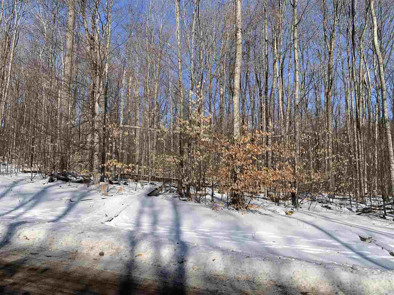 1412 Andover Club Drive Harbor Springs MI 49740