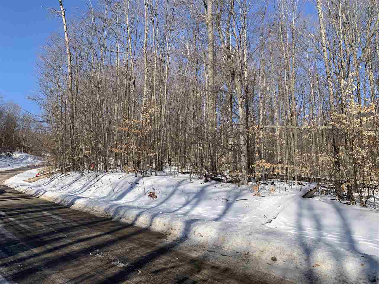 1412 Andover Club Drive Harbor Springs MI 49740