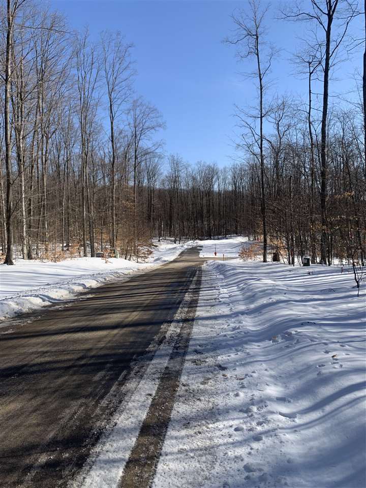 1412 Andover Club Drive Harbor Springs MI 49740