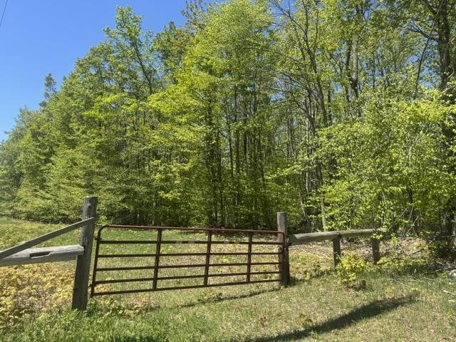 Tbd Beacon Hill Road Harbor Springs MI 49740