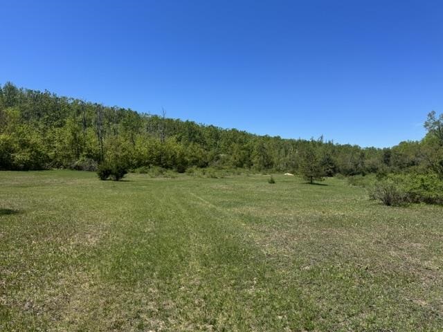 Tbd Beacon Hill Road Harbor Springs MI 49740
