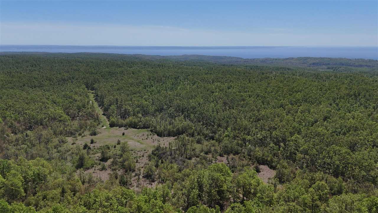 Tbd Beacon Hill Road Harbor Springs MI 49740