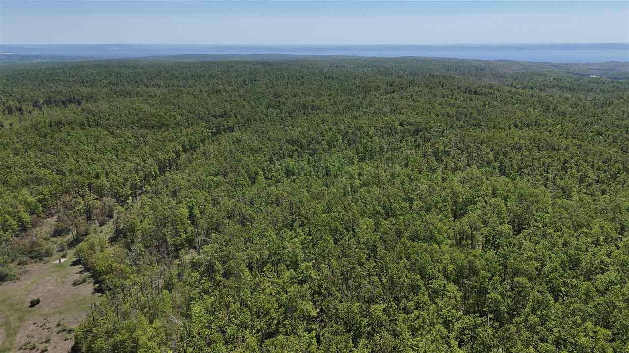 Tbd Beacon Hill Road Harbor Springs MI 49740