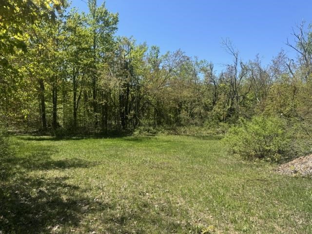Tbd Beacon Hill Road Harbor Springs MI 49740