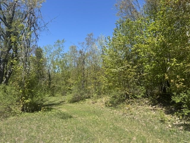 Tbd Beacon Hill Road Harbor Springs MI 49740