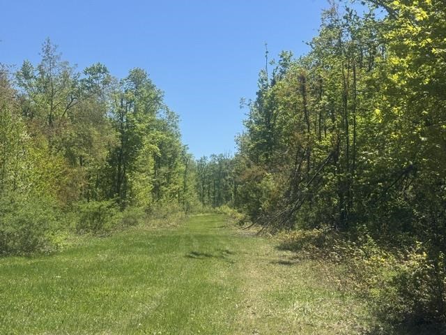 Tbd Beacon Hill Road Harbor Springs MI 49740