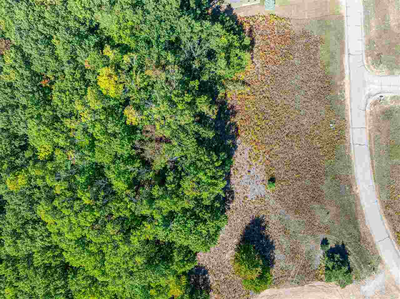 Tbd - Lot 109 St. Moritz Trail Boyne City MI 49712