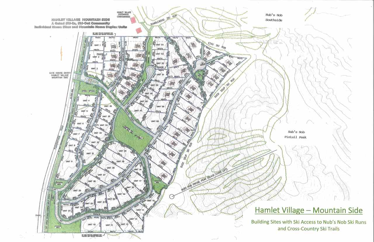 6060 Trillium Woods Drive Harbor Springs MI 49740-0000