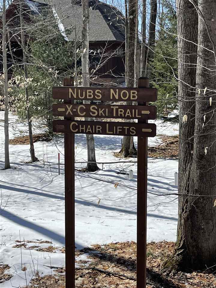 6060 Trillium Woods Drive Harbor Springs MI 49740-0000