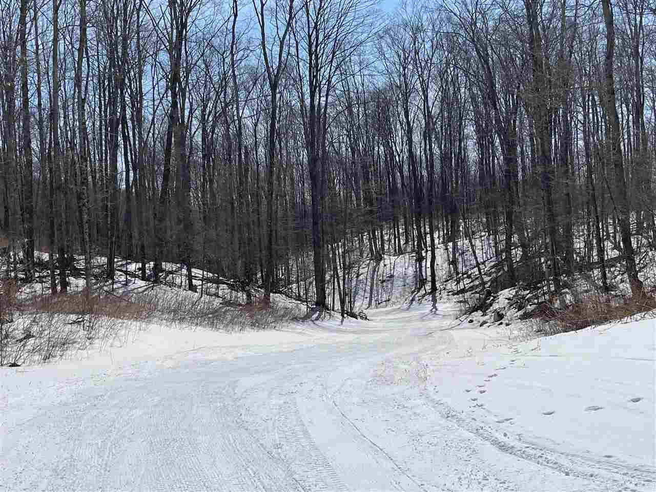 6060 Trillium Woods Drive Harbor Springs MI 49740-0000