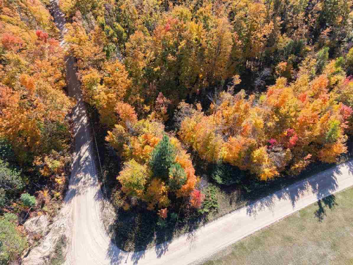 1197 Wildwood Trail Vanderbilt MI 49795