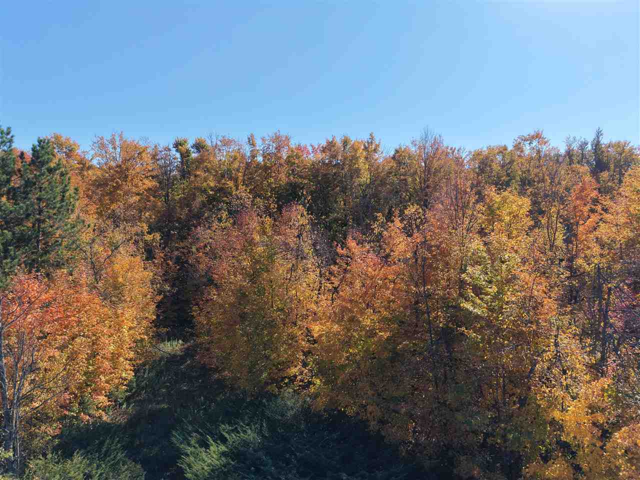 1197 Wildwood Trail Vanderbilt MI 49795