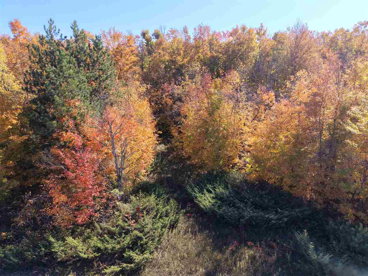 1197 Wildwood Trail Vanderbilt MI 49795