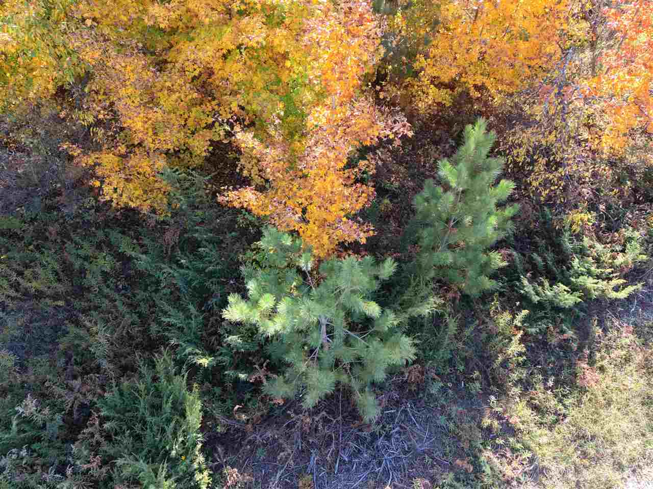 1197 Wildwood Trail Vanderbilt MI 49795