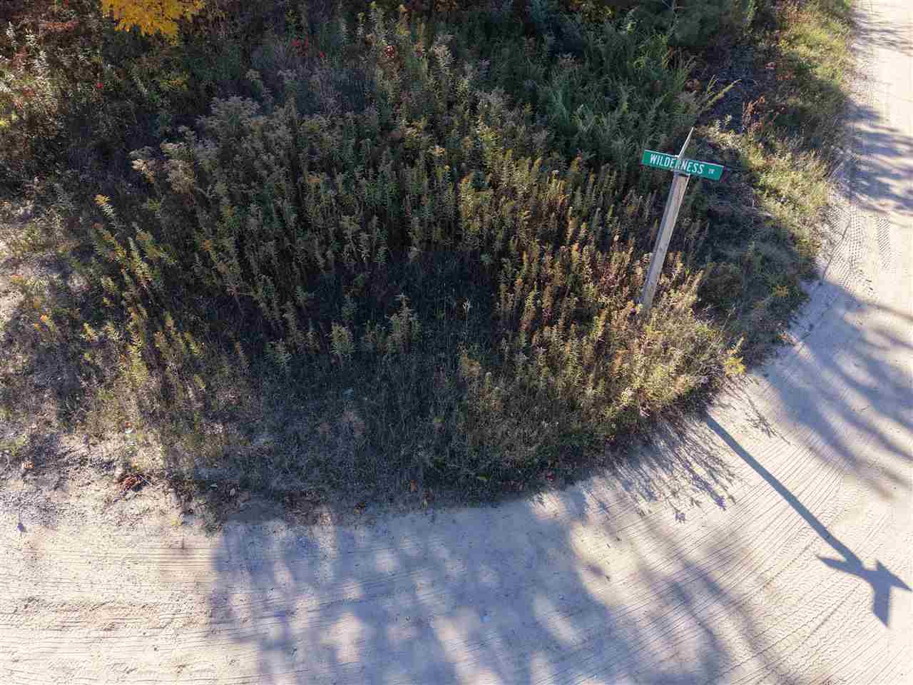 1197 Wildwood Trail Vanderbilt MI 49795