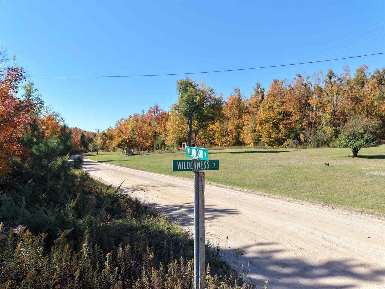 1197 Wildwood Trail Vanderbilt MI 49795