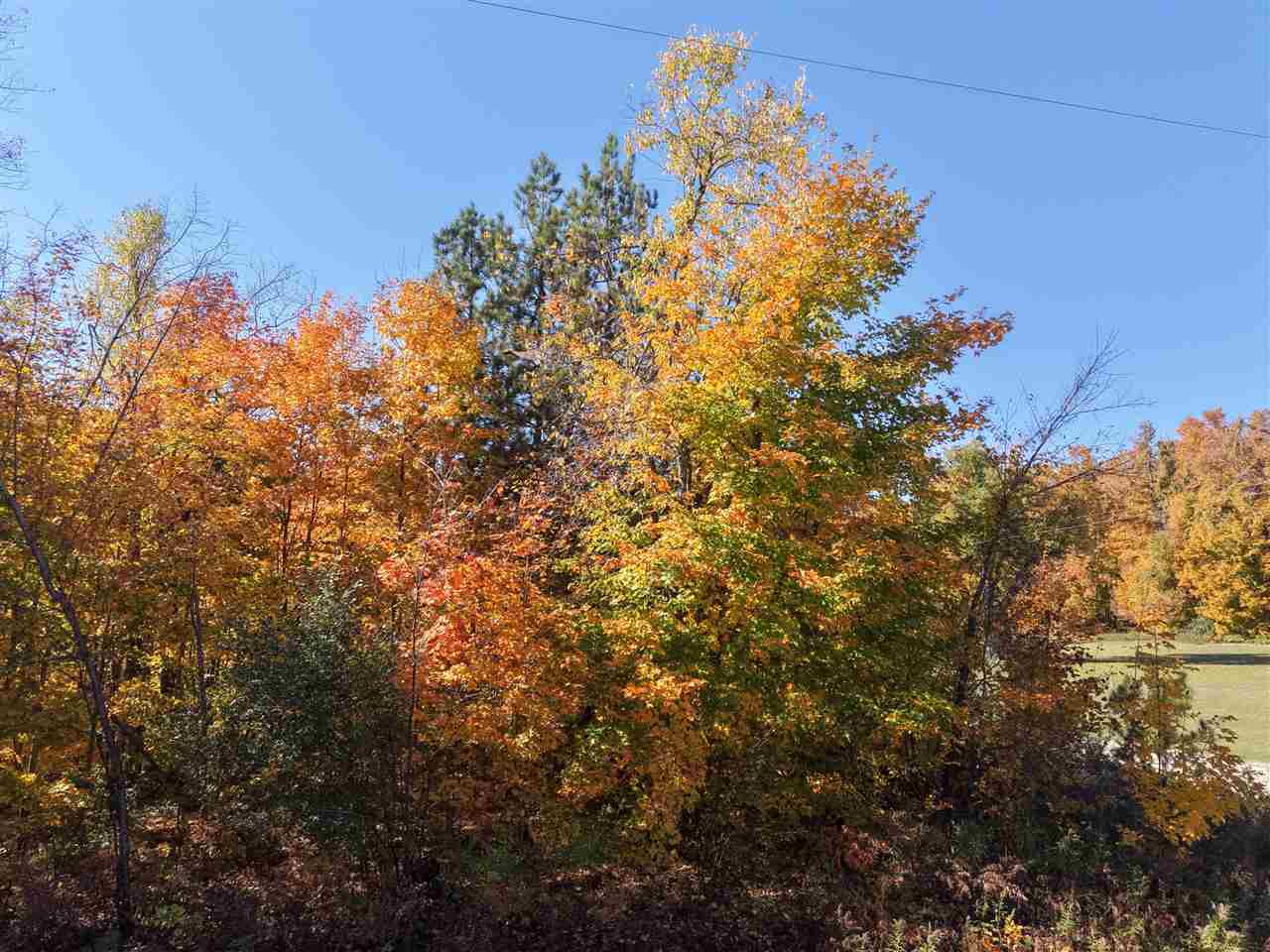 1197 Wildwood Trail Vanderbilt MI 49795