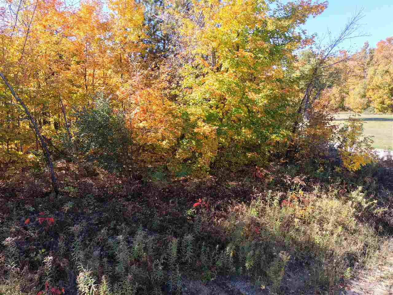 1197 Wildwood Trail Vanderbilt MI 49795