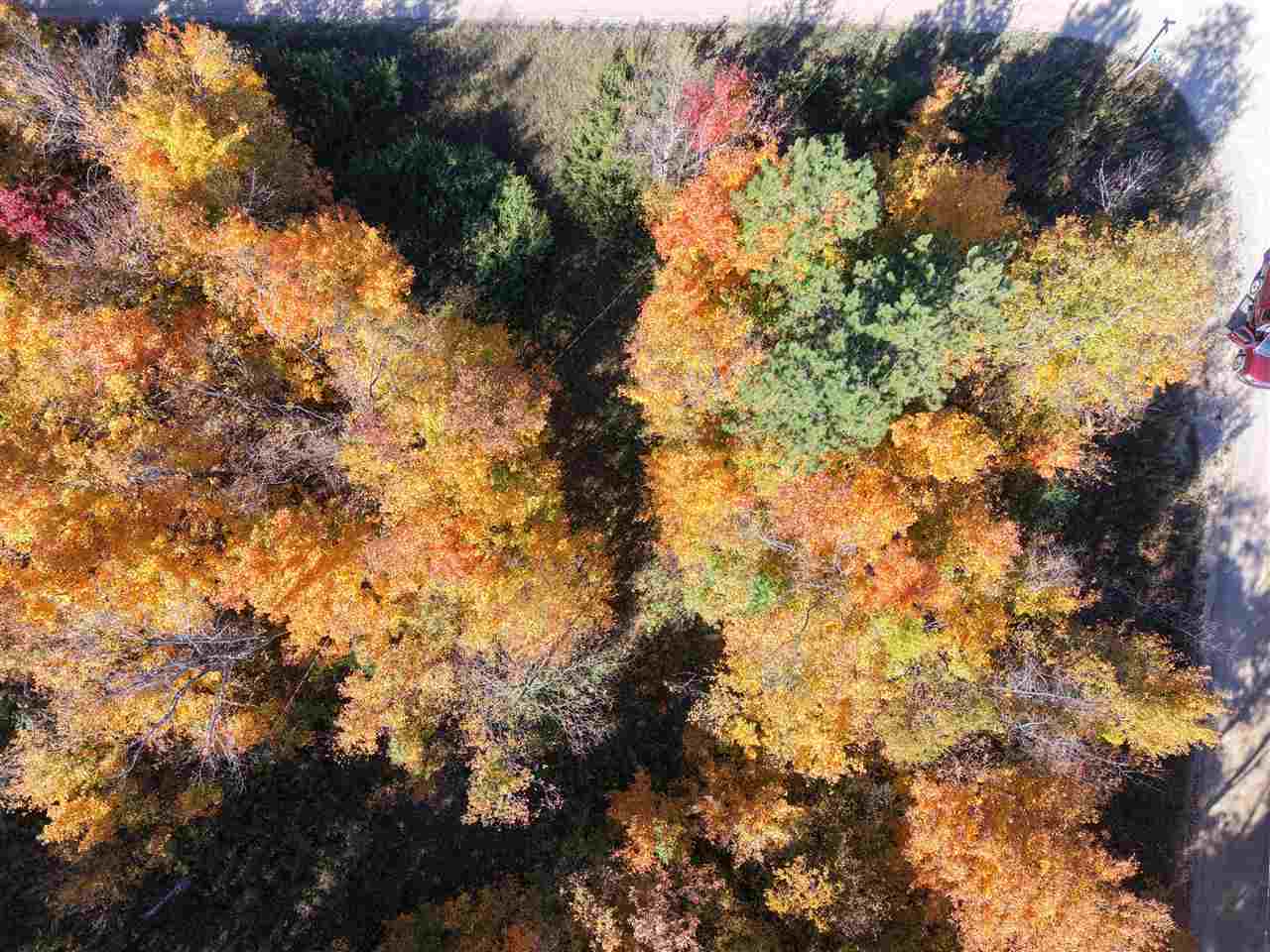 1197 Wildwood Trail Vanderbilt MI 49795