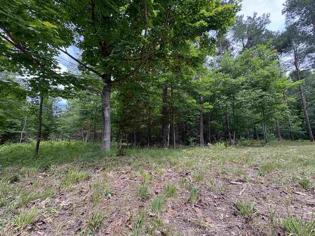 1280 Mountain Road East Jordan MI 49727
