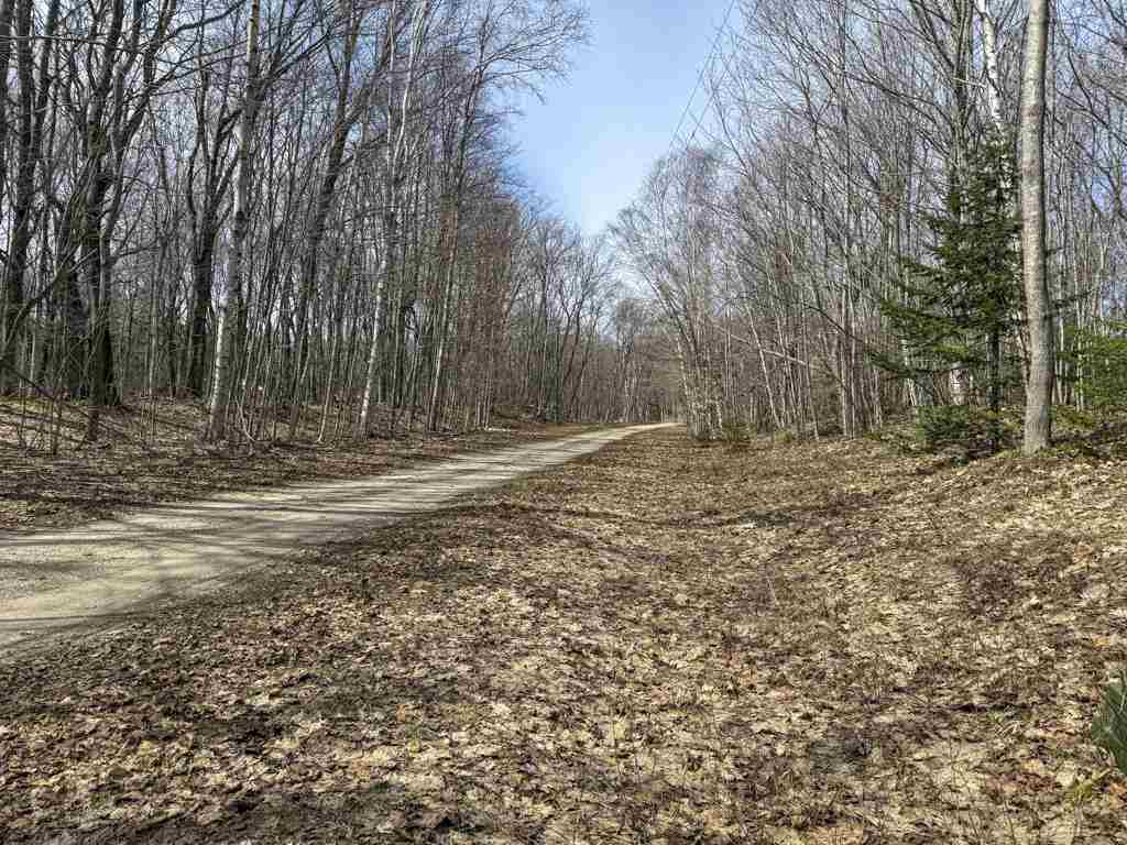 Lot 417 Wild Woods Court Beaver Island MI 49782