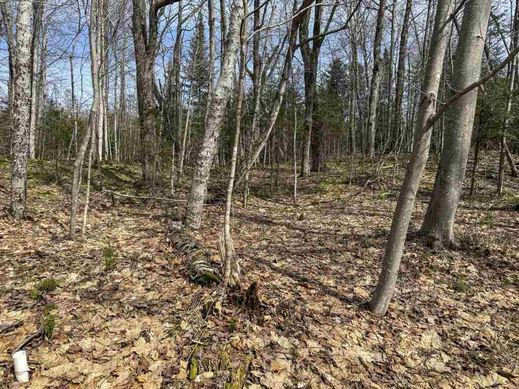 Lot 417 Wild Woods Court Beaver Island MI 49782