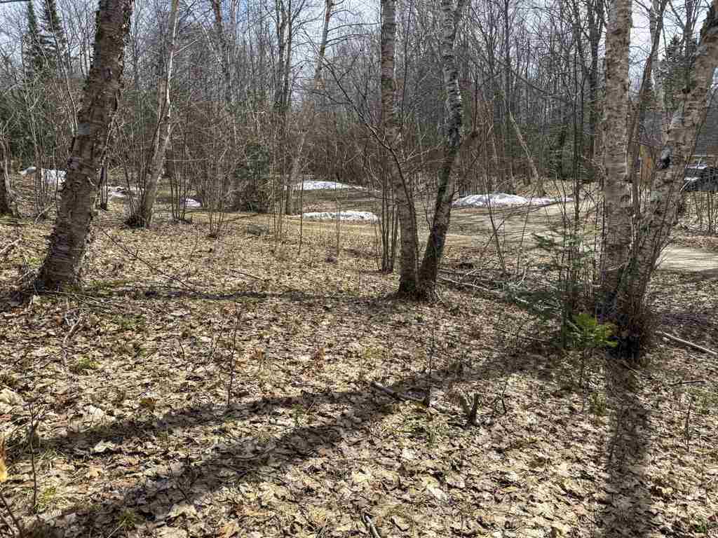 Lot 417 Wild Woods Court Beaver Island MI 49782