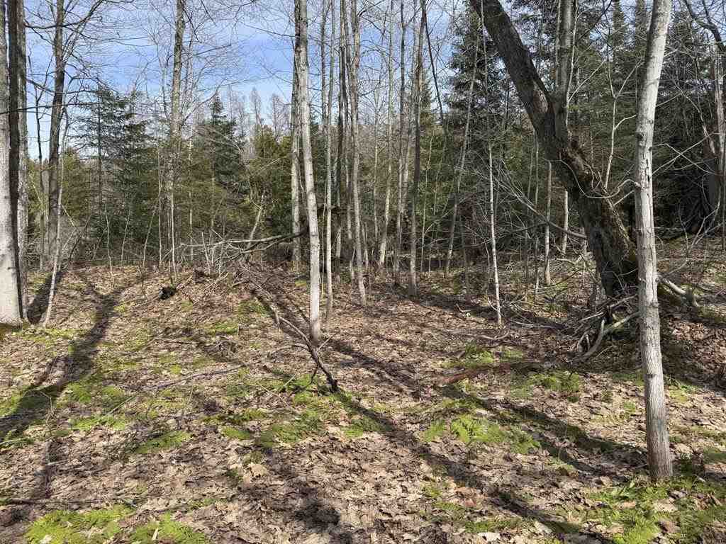 Lot 417 Wild Woods Court Beaver Island MI 49782