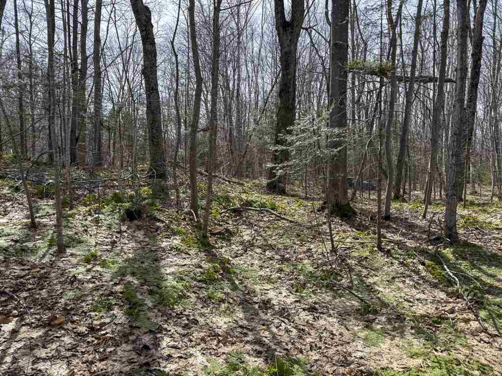 Lot 417 Wild Woods Court Beaver Island MI 49782