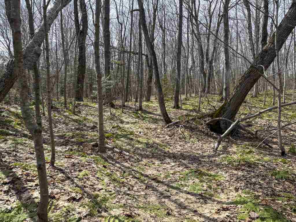 Lot 417 Wild Woods Court Beaver Island MI 49782