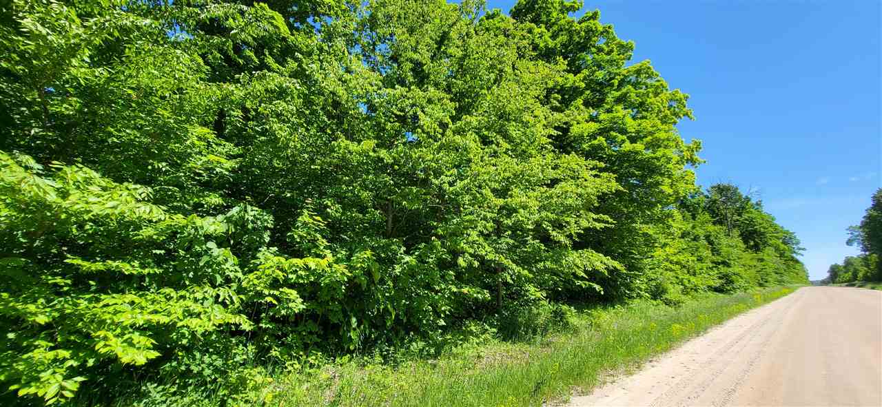 Tbd Bocook Road Mancelona MI 49659