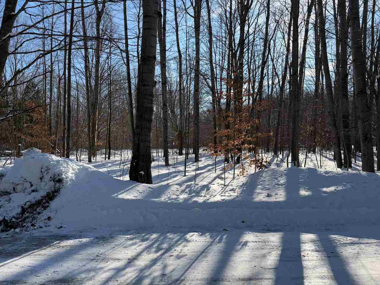 Lots 23,25,27 Muskie Way Ellsworth MI 49729