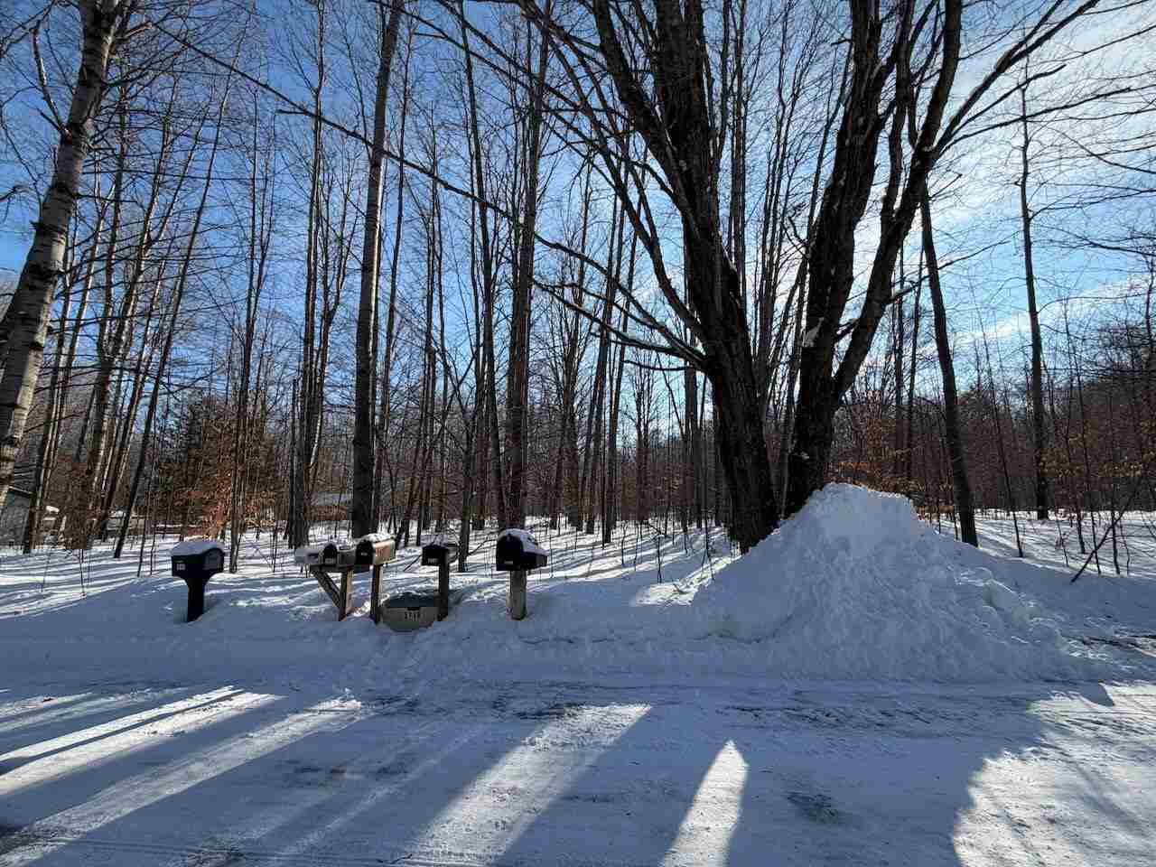 Lots 23,25,27 Muskie Way Ellsworth MI 49729