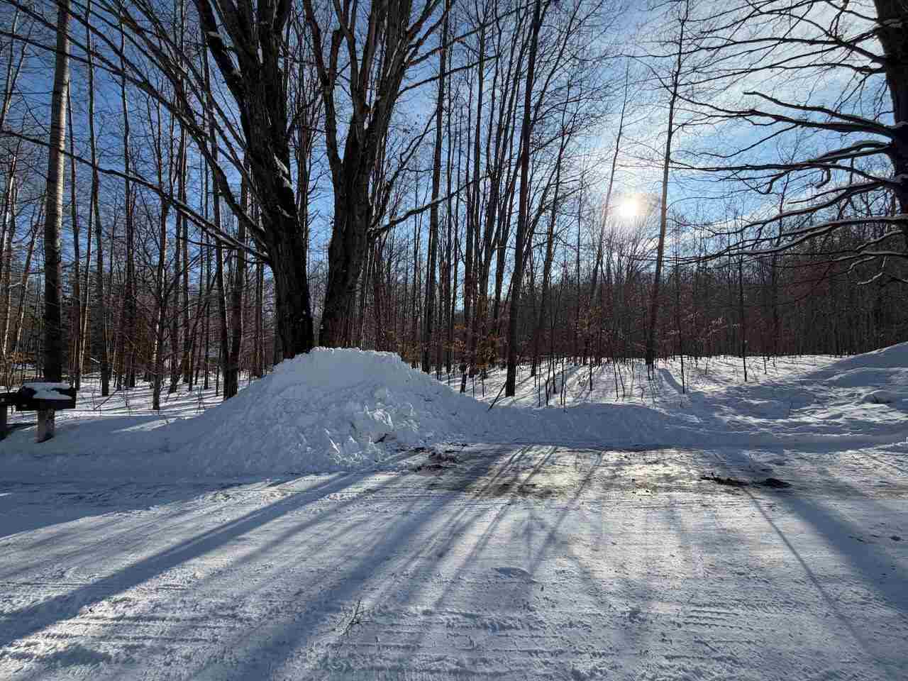 Lots 23,25,27 Muskie Way Ellsworth MI 49729