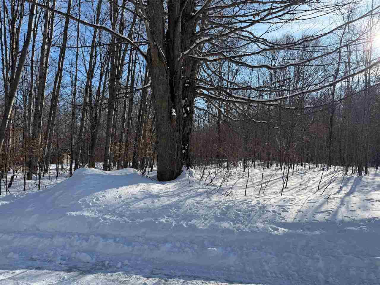 Lots 23,25,27 Muskie Way Ellsworth MI 49729