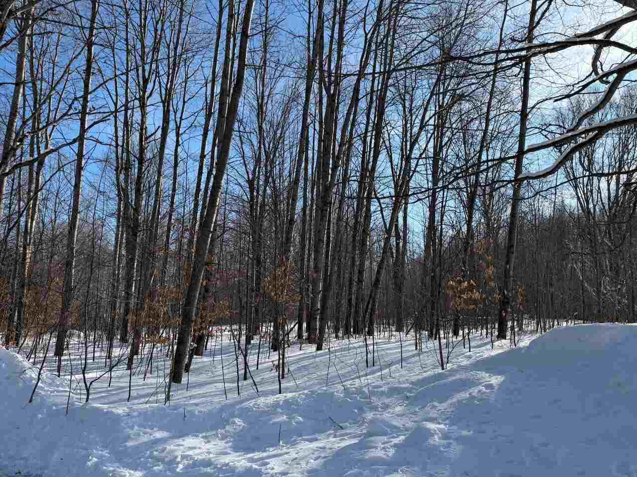 Lots 23,25,27 Muskie Way Ellsworth MI 49729