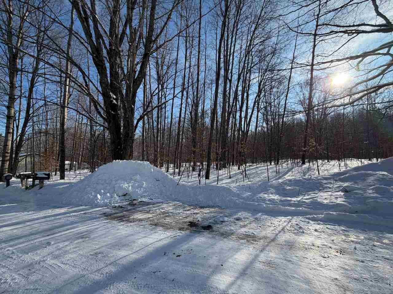 Lots 23,25,27 Muskie Way Ellsworth MI 49729