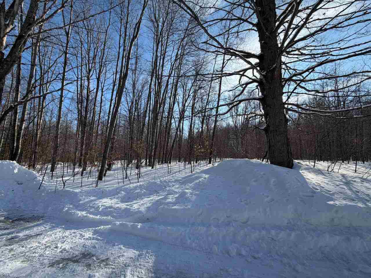 Lots 23,25,27 Muskie Way Ellsworth MI 49729