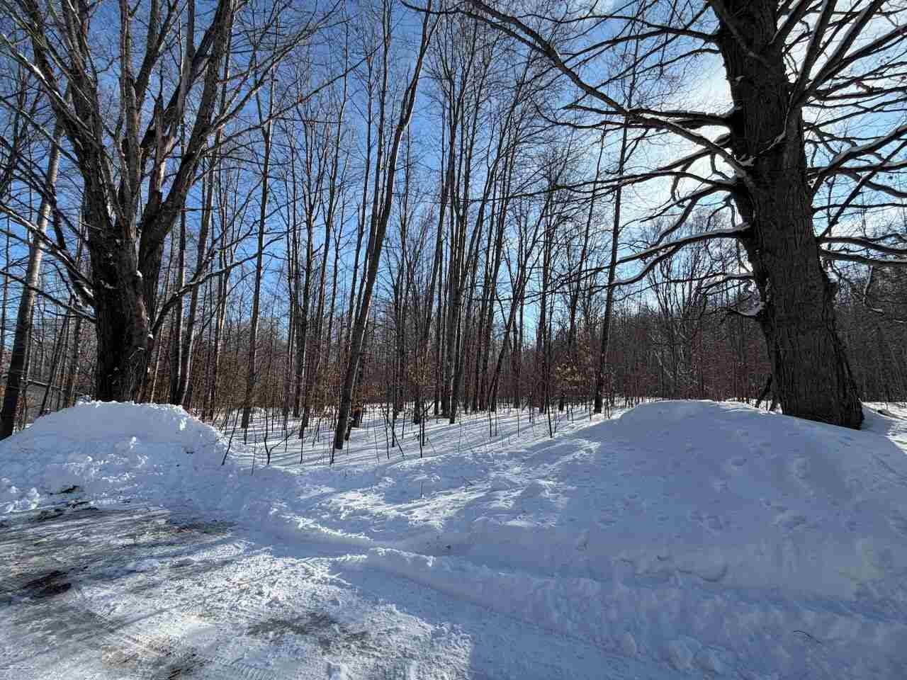 Lots 23,25,27 Muskie Way Ellsworth MI 49729