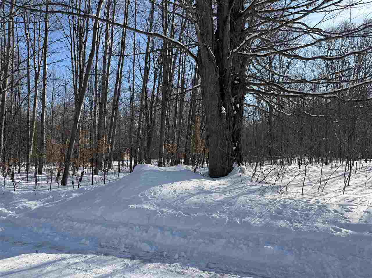 Lots 23,25,27 Muskie Way Ellsworth MI 49729