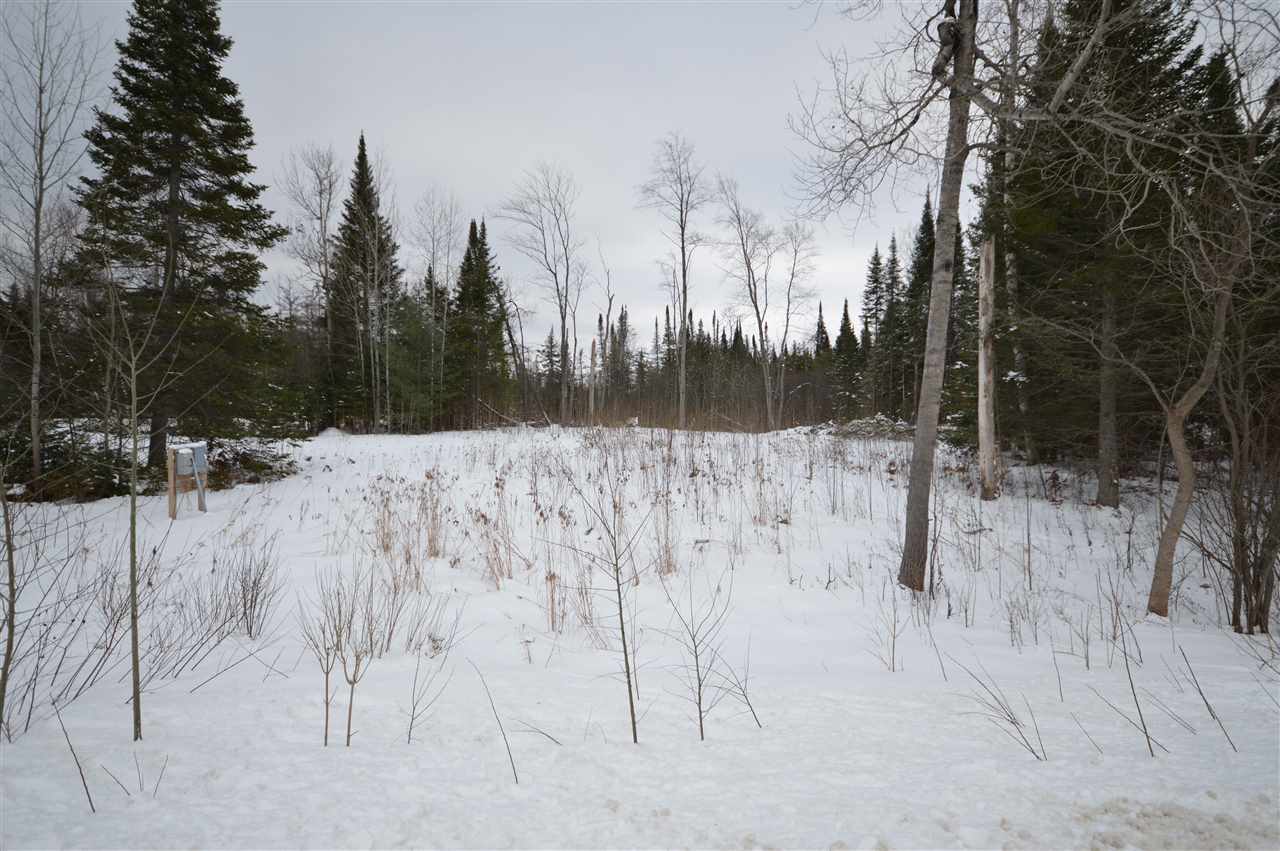 3511 Korthase Road Boyne City MI 49712