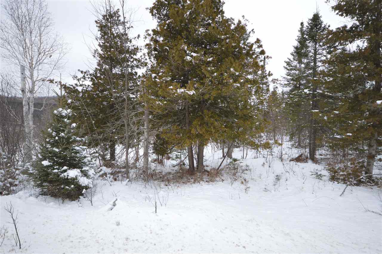 3511 Korthase Road Boyne City MI 49712