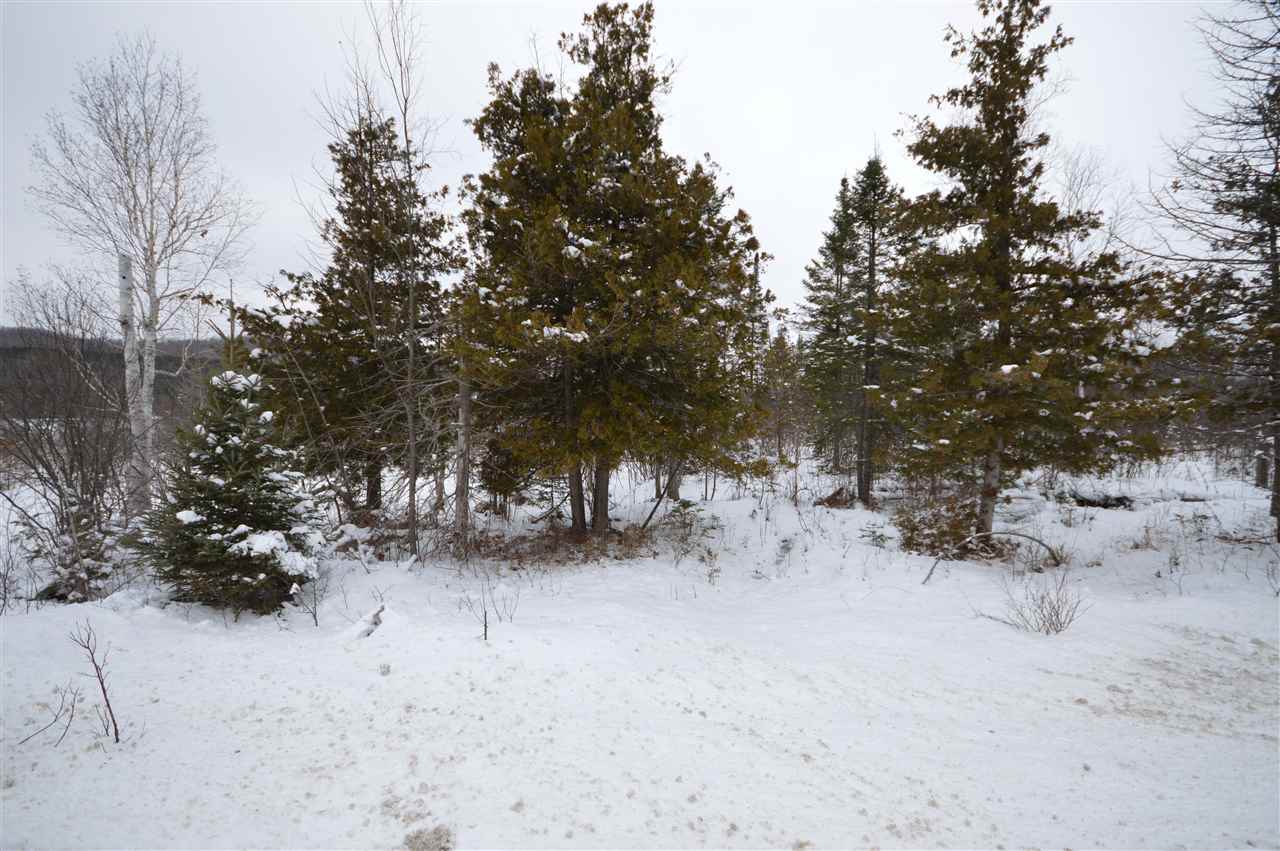 3511 Korthase Road Boyne City MI 49712