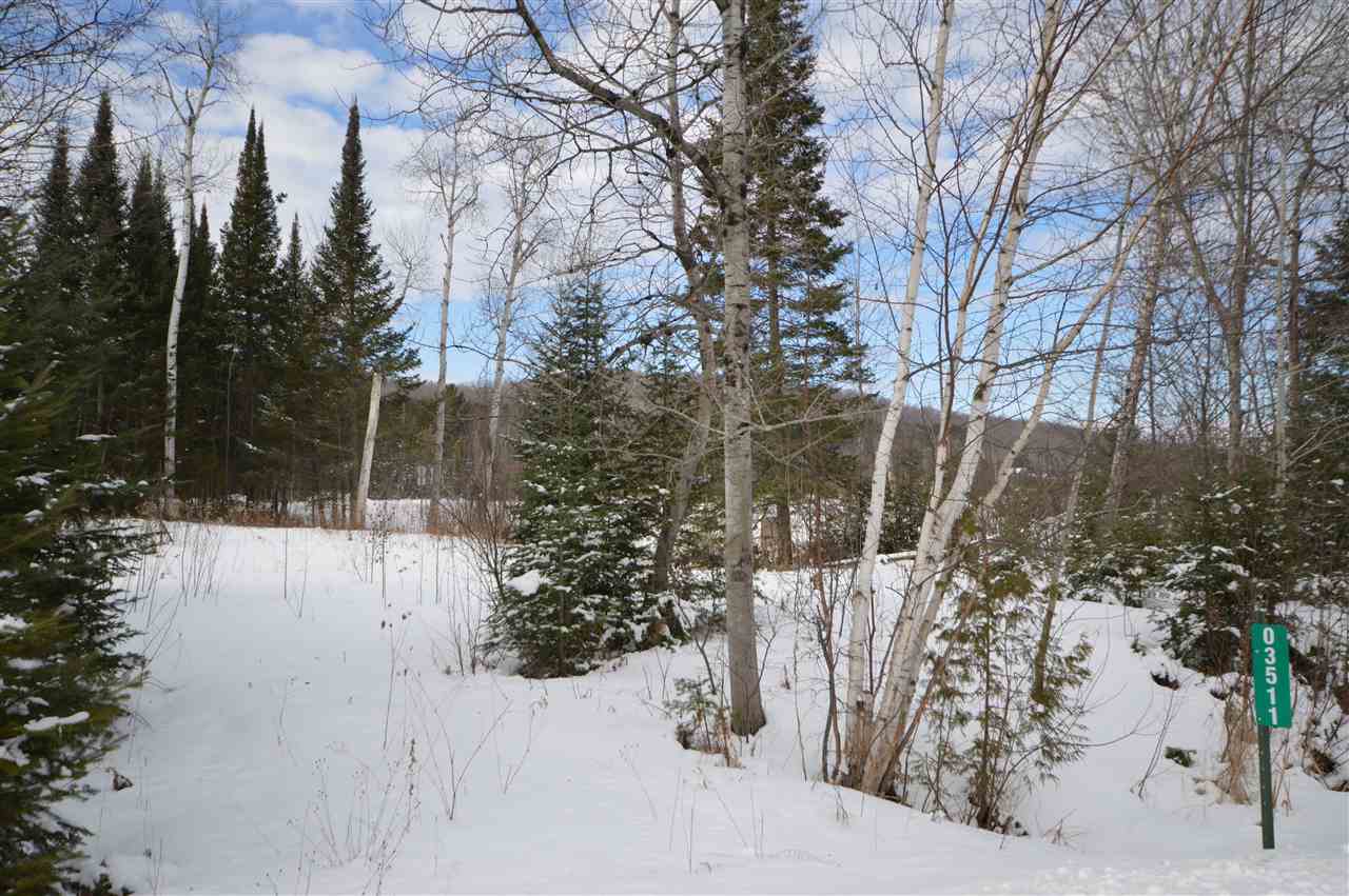 3511 Korthase Road Boyne City MI 49712