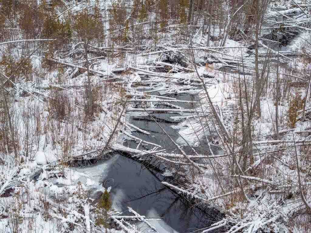 3511 Korthase Road Boyne City MI 49712