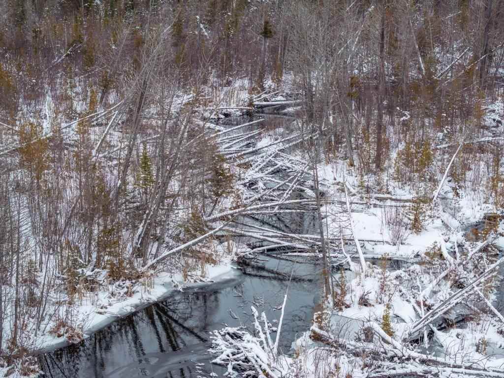 3511 Korthase Road Boyne City MI 49712