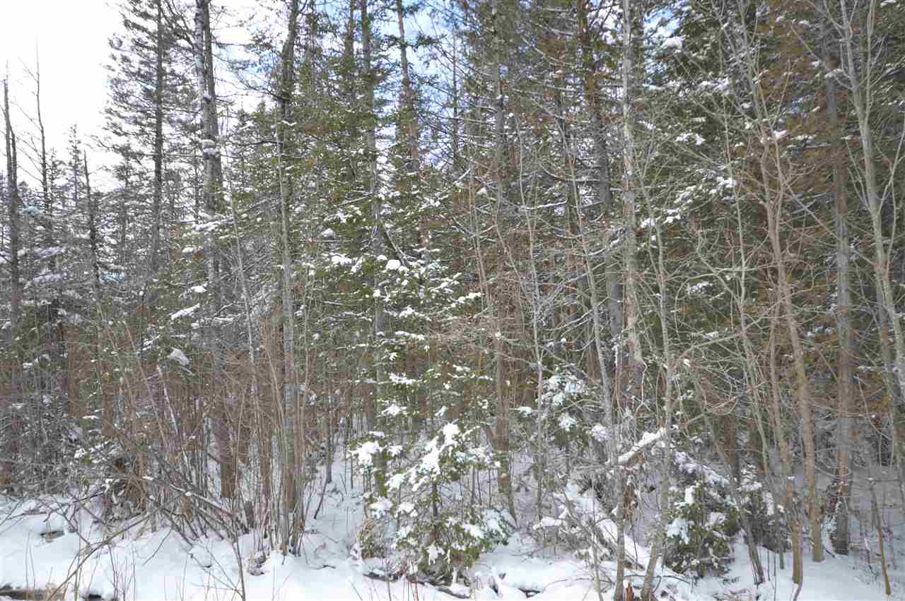 3511 Korthase Road Boyne City MI 49712