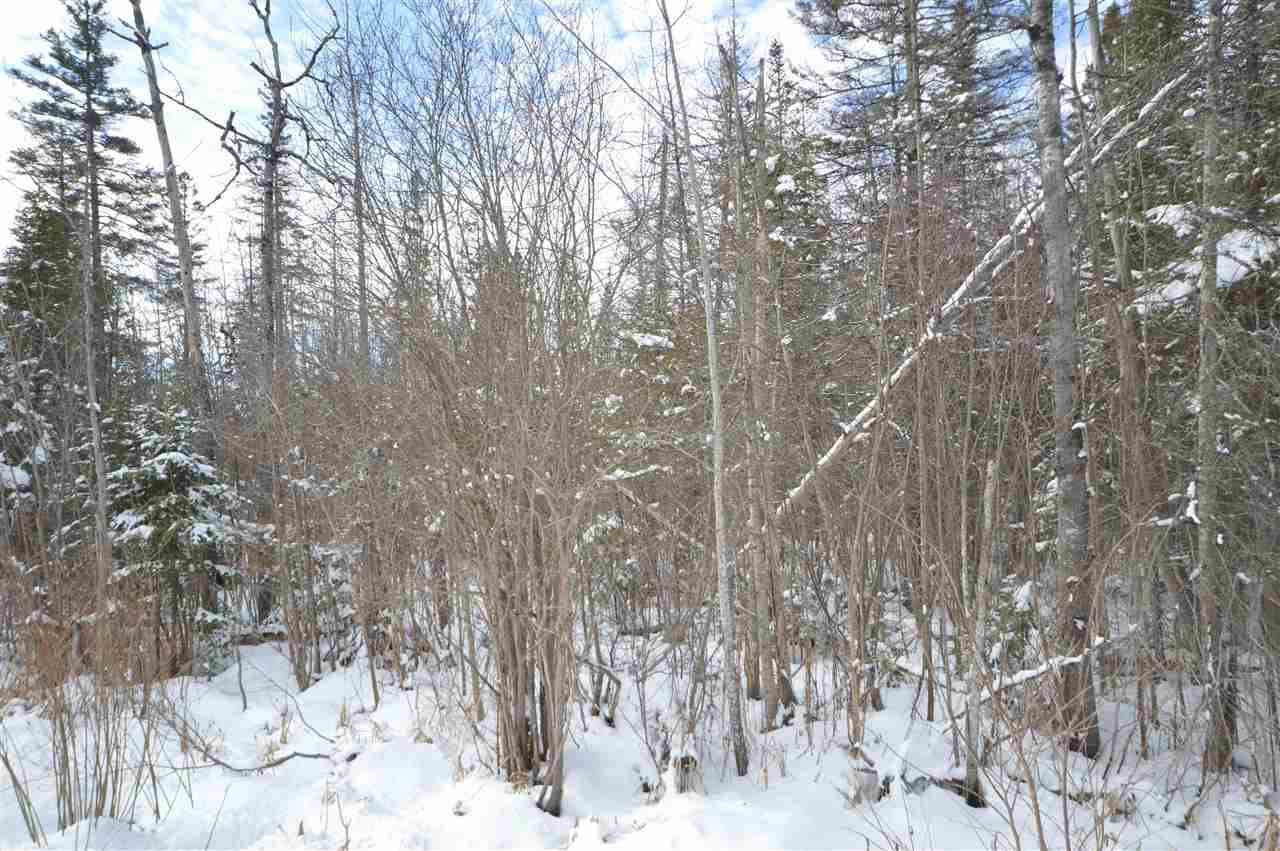 3511 Korthase Road Boyne City MI 49712