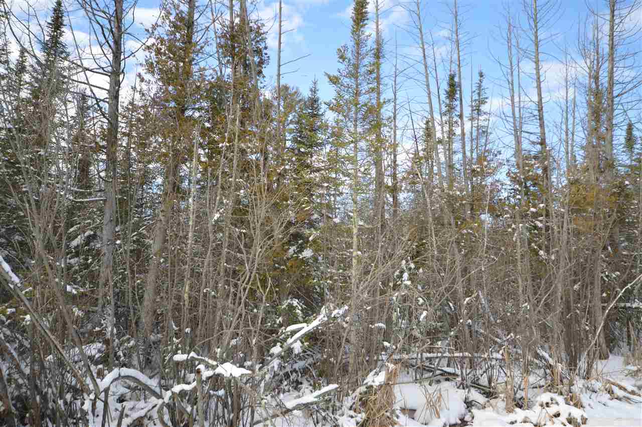 3511 Korthase Road Boyne City MI 49712