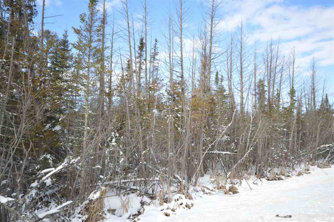 3511 Korthase Road Boyne City MI 49712